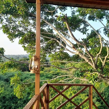 Leopard Nest - Glamping in Yala Hotel Bagian luar foto