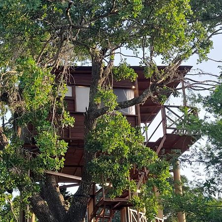 Leopard Nest - Glamping in Yala Hotel Bagian luar foto
