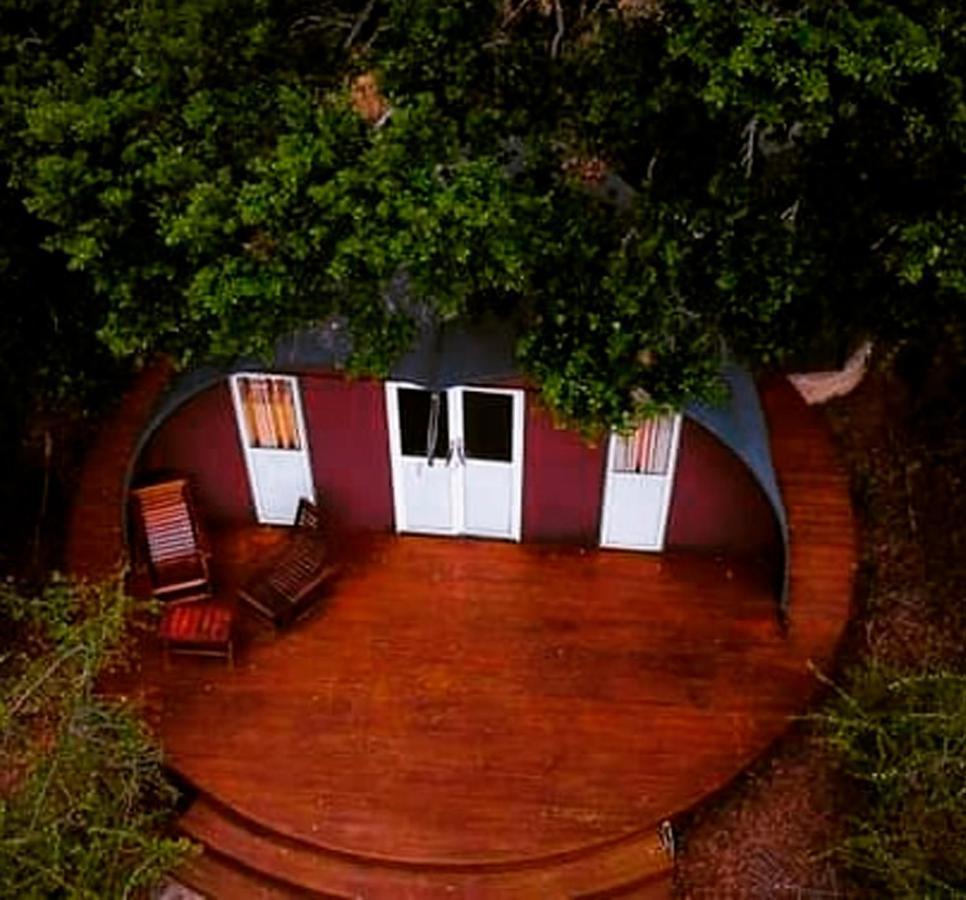 Leopard Nest - Glamping in Yala Hotel Bagian luar foto