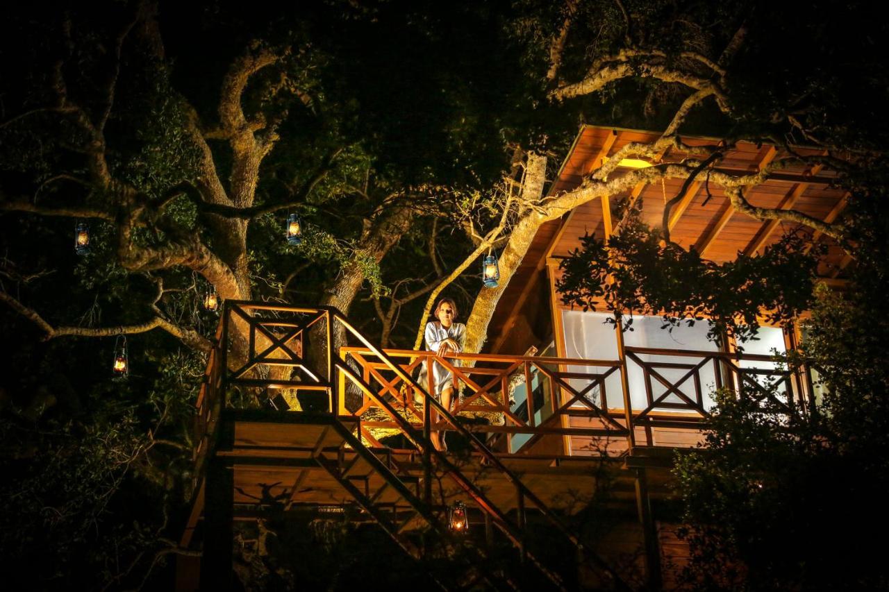 Leopard Nest - Glamping in Yala Hotel Bagian luar foto