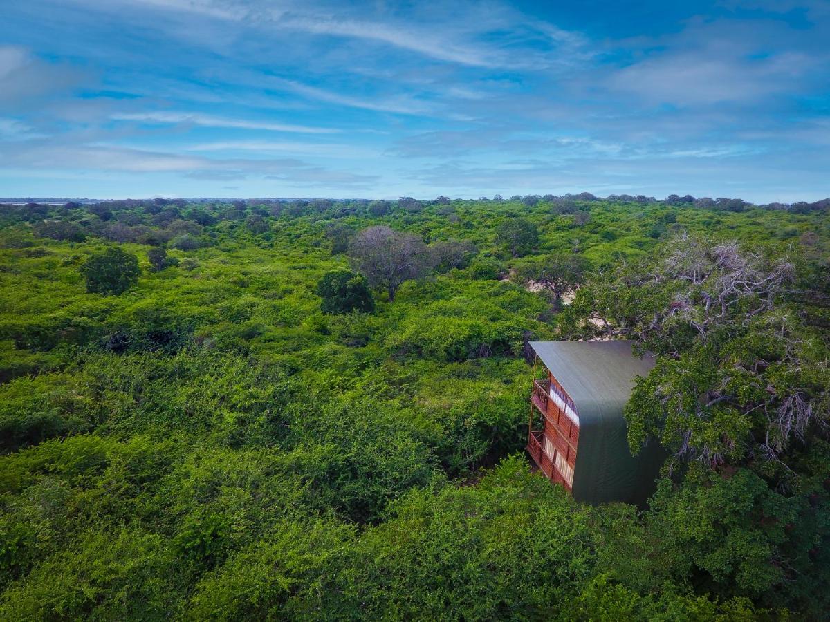 Leopard Nest - Glamping in Yala Hotel Bagian luar foto
