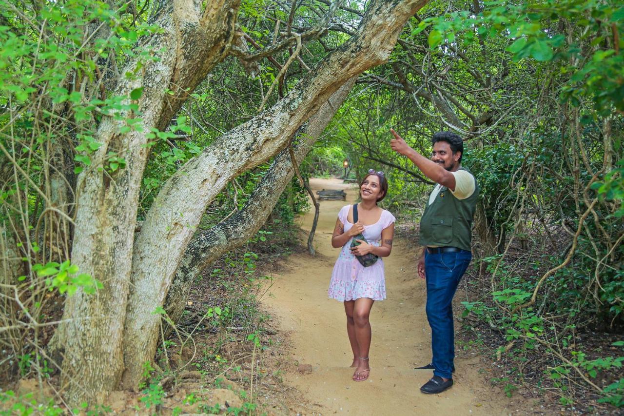 Leopard Nest - Glamping in Yala Hotel Bagian luar foto