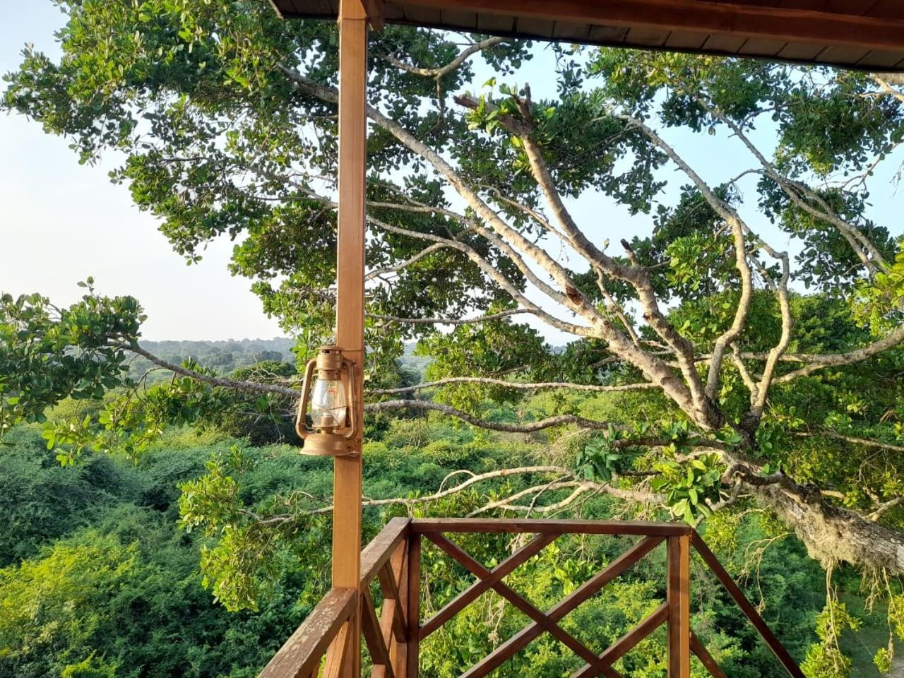 Leopard Nest - Glamping in Yala Hotel Bagian luar foto