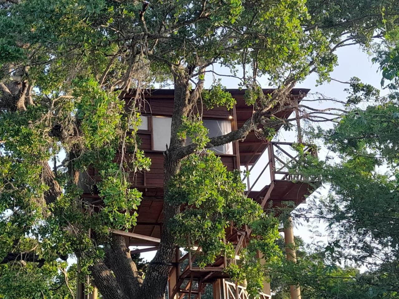 Leopard Nest - Glamping in Yala Hotel Bagian luar foto
