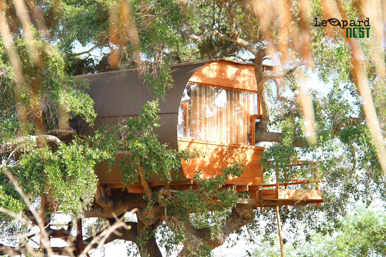 Leopard Nest - Glamping in Yala Hotel Bagian luar foto