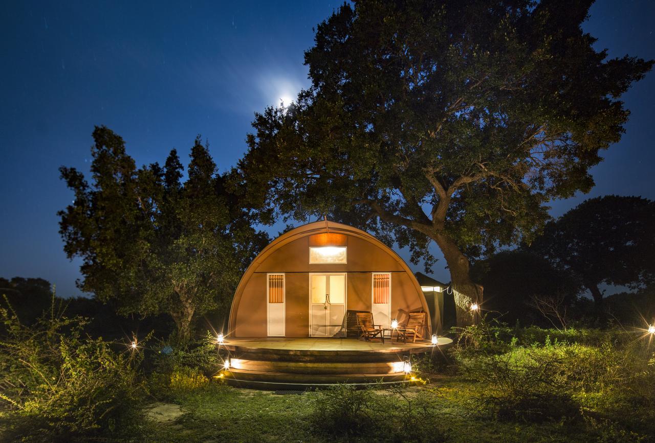 Leopard Nest - Glamping in Yala Hotel Bagian luar foto