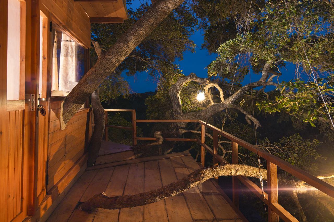 Leopard Nest - Glamping in Yala Hotel Bagian luar foto